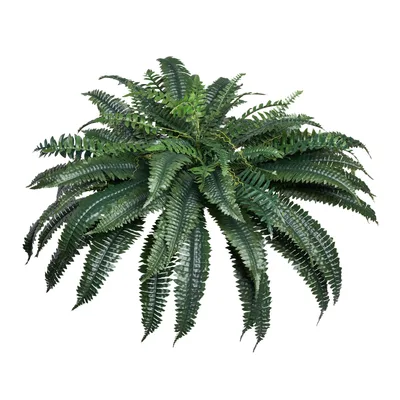 Artificial Ferns