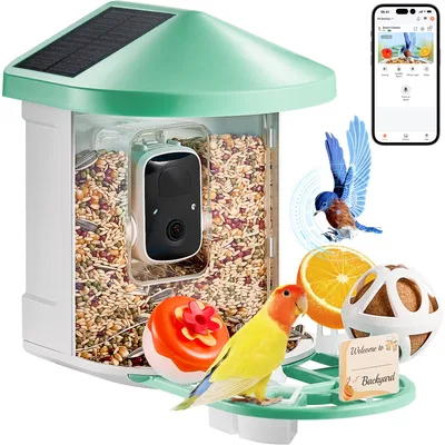 Bird Feeders