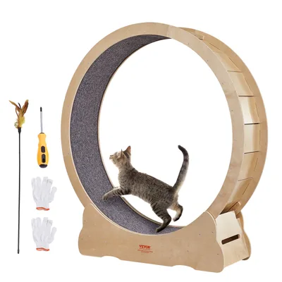 Cat Toys