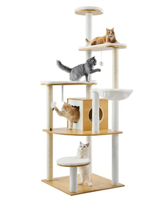 Cat Trees & Scratch Posts