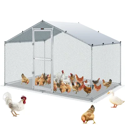 Chicken Coop