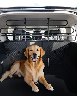 Dog Crates & Crate Pads