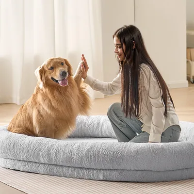 Dog Furniture