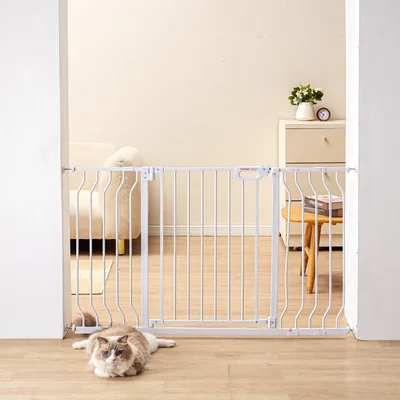 Dog Gates