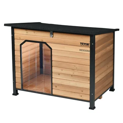 Dog House