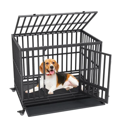 Dog Houses