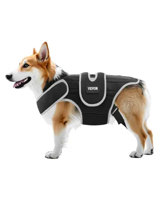 Dog Knee Brace