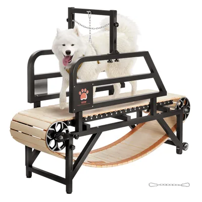 Dog Treadmill