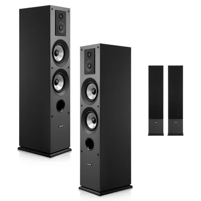 Floor Standing Speaker