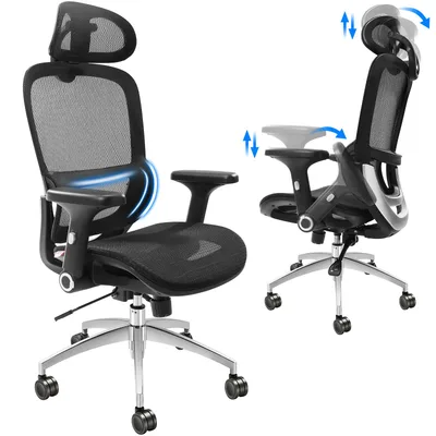 Office Chairs