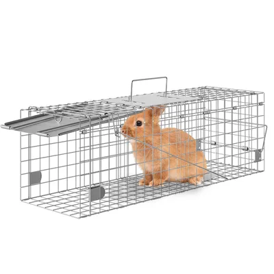 Pest Control