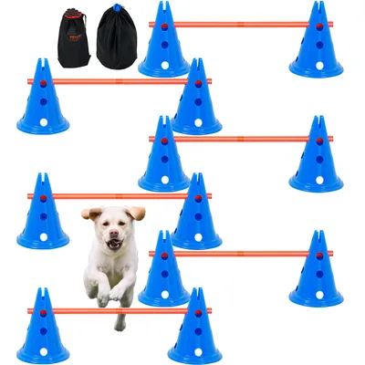 Pet Fencing & Training