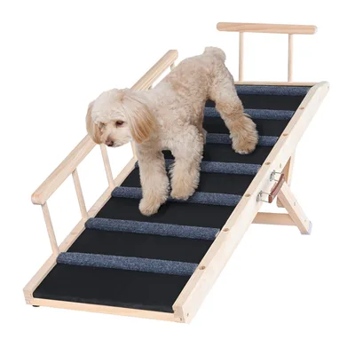 Pet Safety Ramp