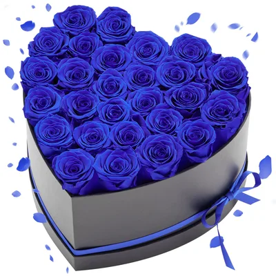 Preserved Flowers