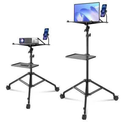 Projector Mounts