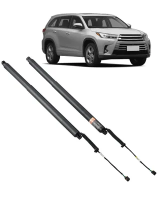 Rear Hatch Lift Strut