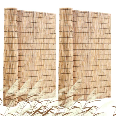 Reed Fences