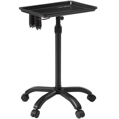 Salon Cart