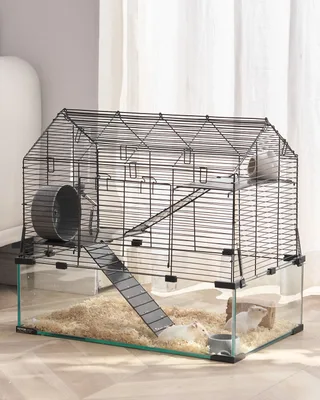 Small Animal Supplies