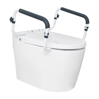 Toilet Safety Rails