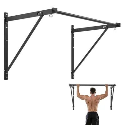 Wall Mounted Pull Up Bar